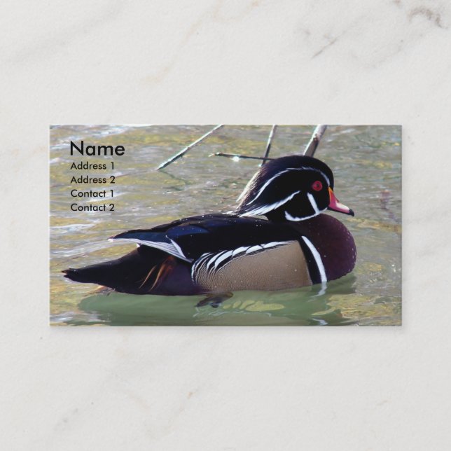 Carte De Visite Duck de bois Drake (Devant)