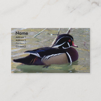 Carte De Visite Duck Drake