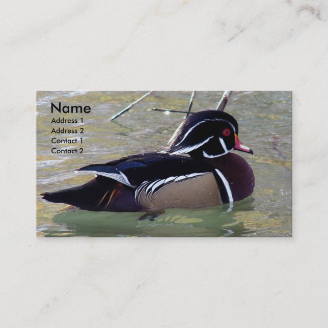 Carte De Visite Duck Drake (Devant)