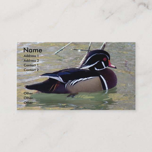 Carte De Visite Duck Drake (Devant)