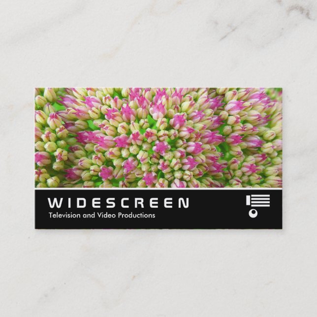 Carte De Visite Écran large 349 - Sedum "Autumn Joy" (Devant)