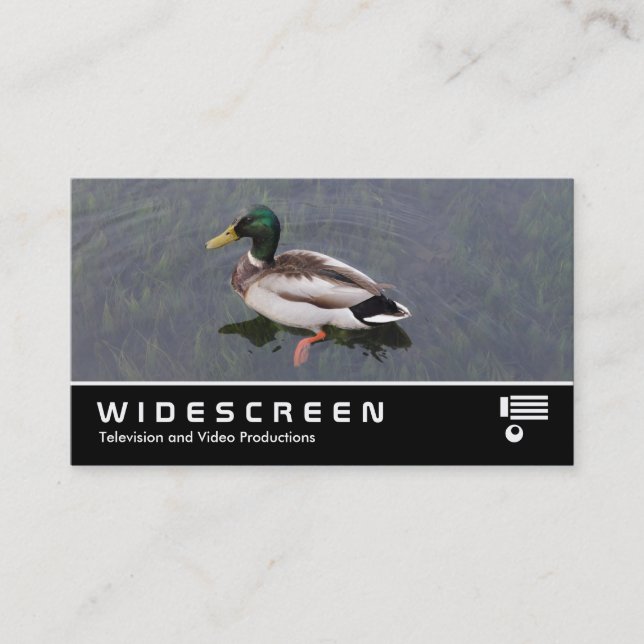 Carte De Visite Écran large 390 - Mallard Duck (Devant)