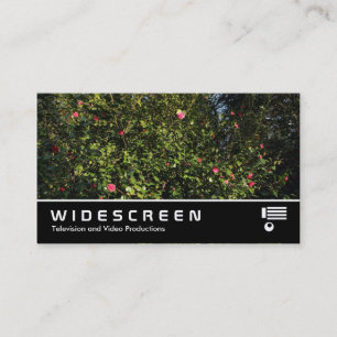 Carte De Visite Écran large 394 - Camellia Bush