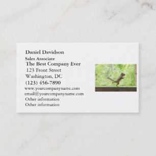 Carte De Visite Écureuil mignon faisant le Chi de Tai