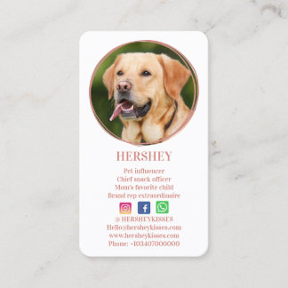 Carte De Visite Élégant Rose photo Gold Chien Animal Social Media