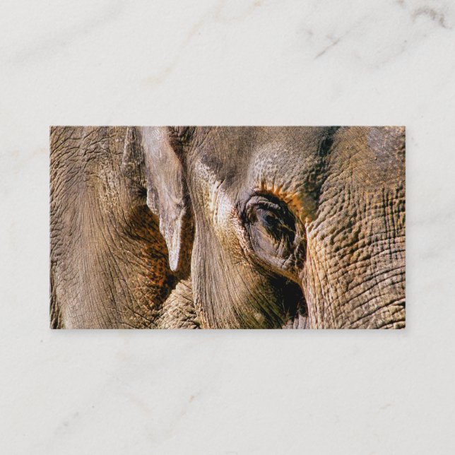 CARTE DE VISITE ÉLÉPHANT (Devant)