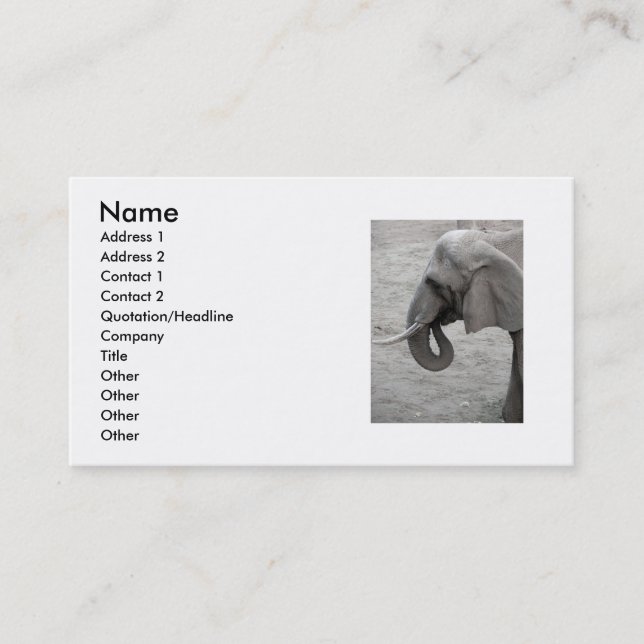 Carte de visite éléphant (Devant)