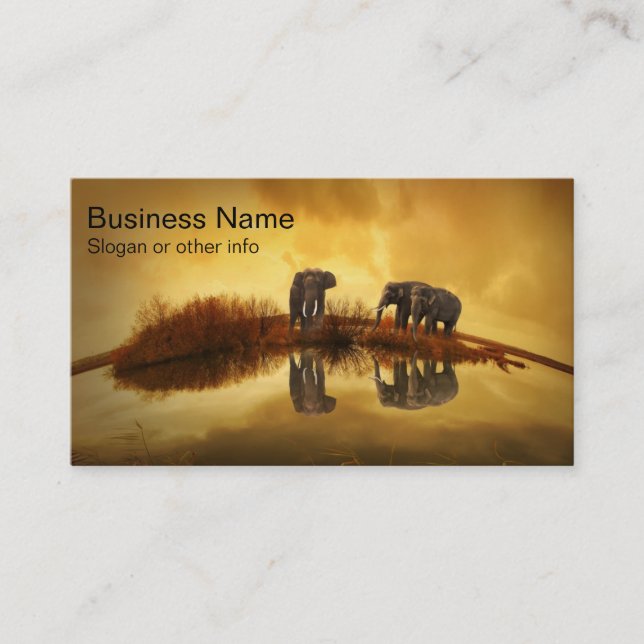 Carte De Visite Eléphants asiatiques en Thaïlande sous un coucher  (Devant)