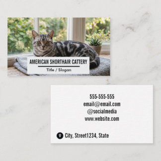 Carte De Visite Élevage de chats américains à poil court luxueux -