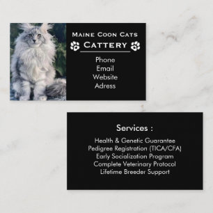 Carte De Visite Élevage de Maine Coon & Éleveur Professionnel Noir