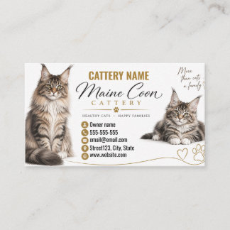 Carte De Visite Éleveur de chats Maine Coon