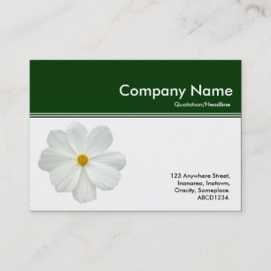 Carte De Visite En-tête de couleur III - Cosmos blancs - Vert fonc