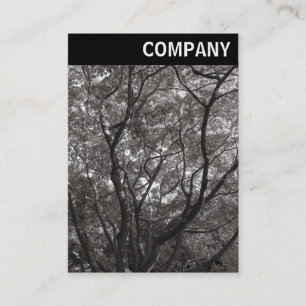 Carte De Visite En-tête V - Branches japonaises 02