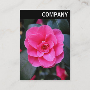 Carte De Visite En-tête V - Camellia rose