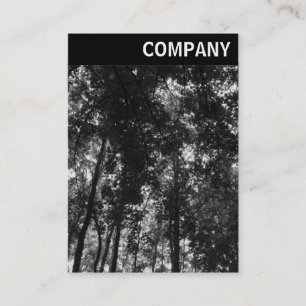 Carte De Visite En-tête V - Canopée en bois 01 BW
