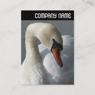 Carte De Visite En-tête V - Cygne