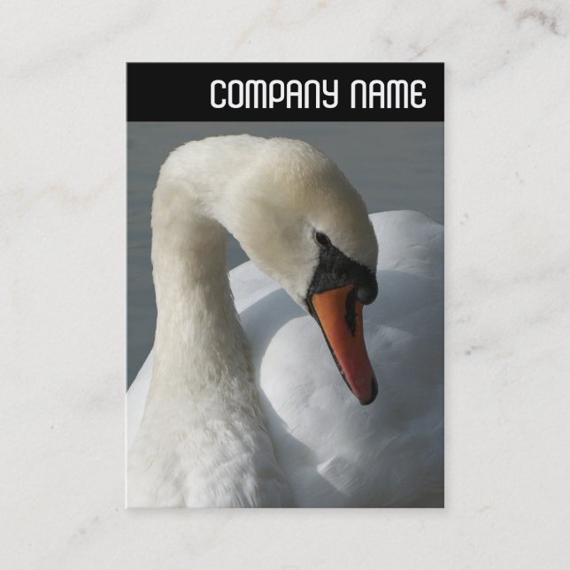Carte De Visite En-tête V - Cygne (Devant)
