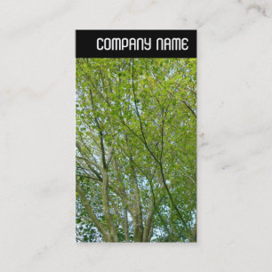 Carte De Visite En-tête V - Érable japonais