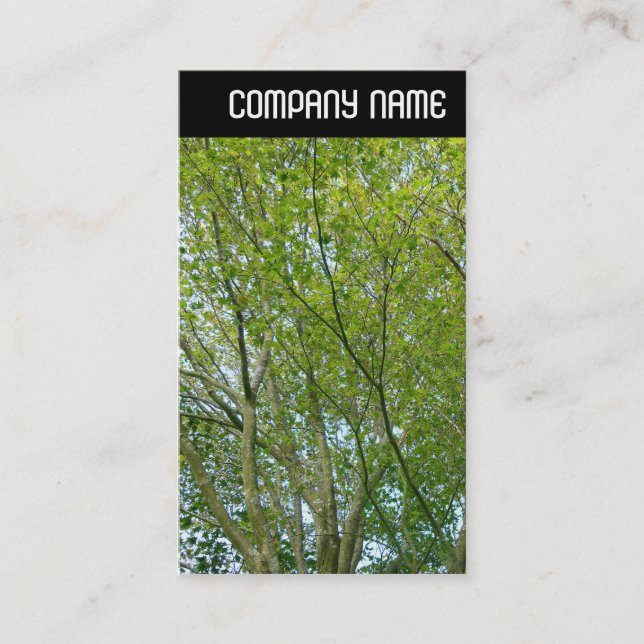 Carte De Visite En-tête V - Érable japonais (Devant)