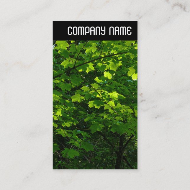 Carte De Visite En-tête V - Feuille au printemps (Devant)