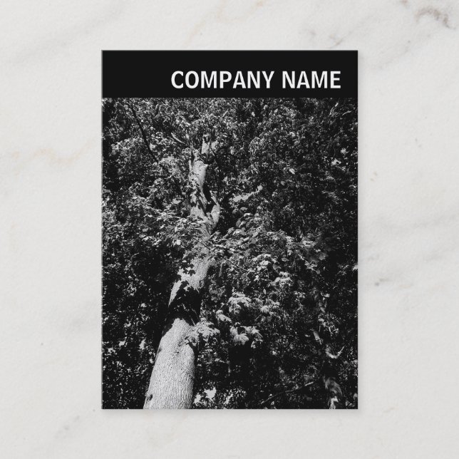 Carte De Visite En-tête V - Image - Arborescence du plan (Devant)