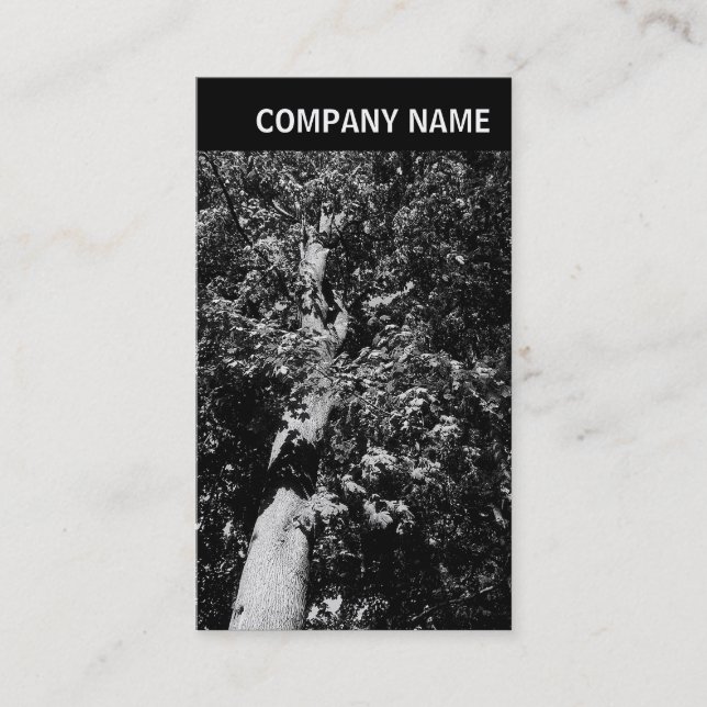 Carte De Visite En-tête V - Image - Arborescence du plan (Devant)