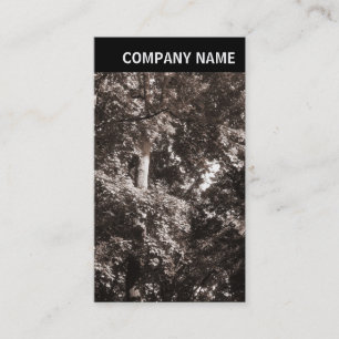 Carte De Visite En-tête V - Image - Arbres à plan