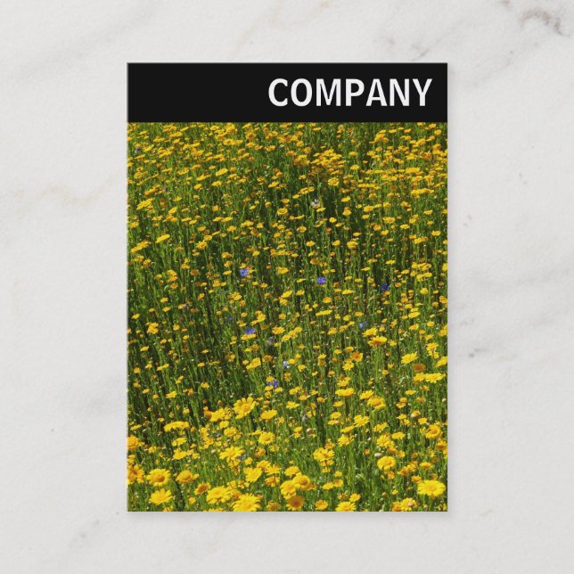 Carte De Visite En-tête V - Lit de marguerites jaunes (Devant)