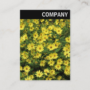 Carte De Visite En-tête V - Marguerites jaunes