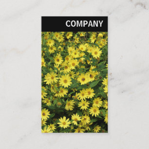 Carte De Visite En-tête V - Marguerites jaunes