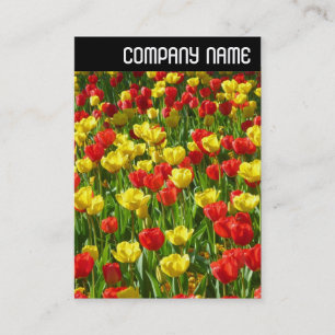 Carte De Visite En-tête V - Mer des Tulipes III