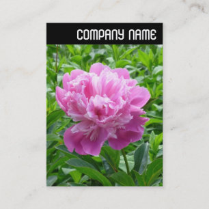 Carte De Visite En-tête V - Peine rose