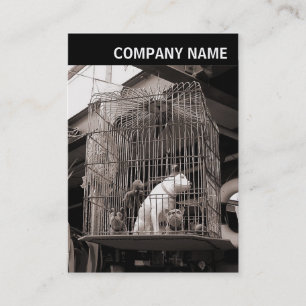 Carte De Visite En-tête V - Photo - Bêtes en cage