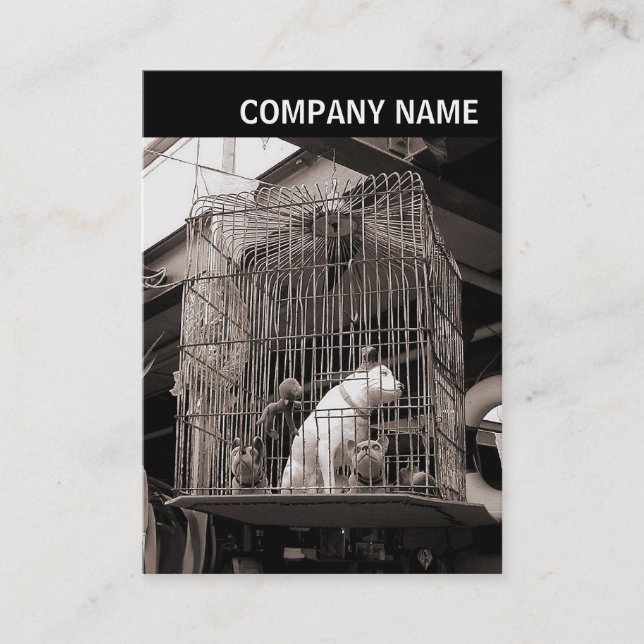 Carte De Visite En-tête V - Photo - Bêtes en cage (Devant)