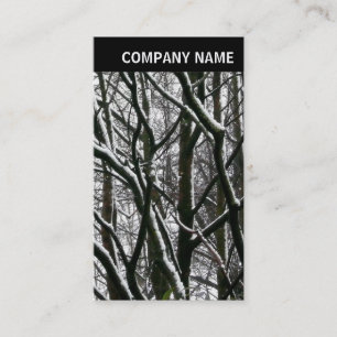 Carte De Visite En-tête V - Photo - Branches hivernales