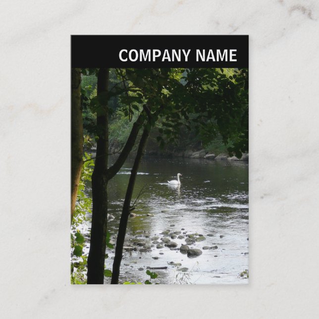 Carte De Visite En-tête V - Photo - Cygne sur la rivière (Devant)