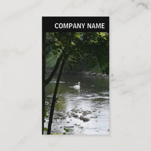 Carte De Visite En-tête V - Photo - Cygne sur la rivière (Devant)