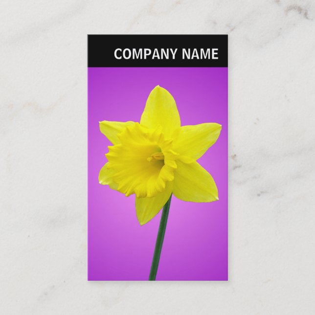 Carte De Visite En-tête V - Photo - Daffodique (Devant)