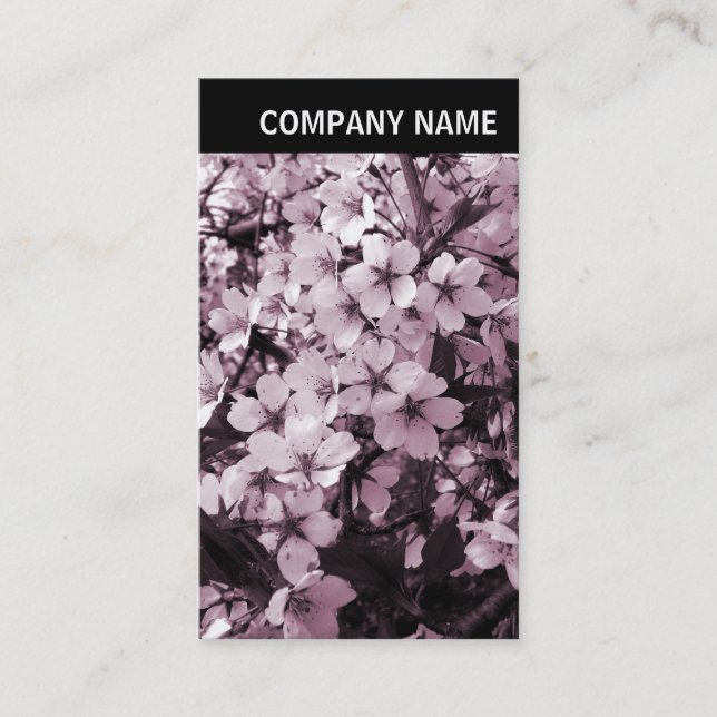 Carte De Visite En-tête V - Photo - Fleur de cerisiers (Devant)