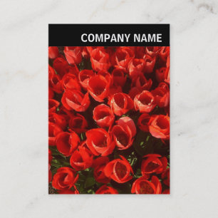 Carte De Visite En-tête V - Photo - Tulips