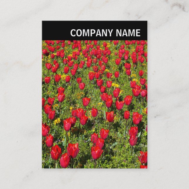 Carte De Visite En-tête V - Photo - Tulips (Devant)