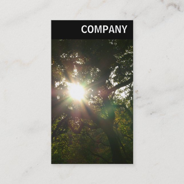 Carte De Visite En-tête V - Soleil dans les arbres (Devant)