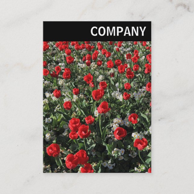Carte De Visite En-tête V - Tulipes rouges et Primroses (Devant)
