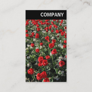 Carte De Visite En-tête V - Tulipes rouges et Primroses