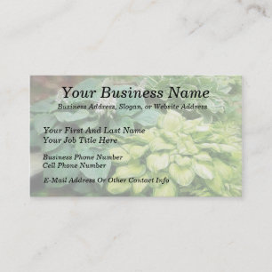 Carte De Visite Encore Un Hosta !