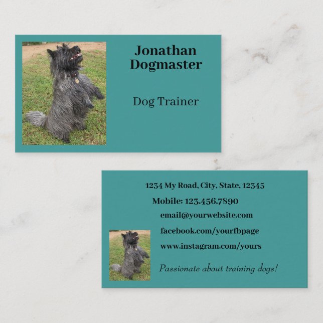 Carte De Visite Entraîneur de chien Aqua Blue Photo Turquoise mini (Devant / Derrière)