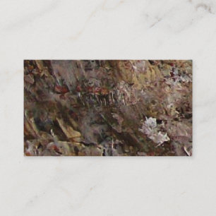 Carte De Visite Éponges