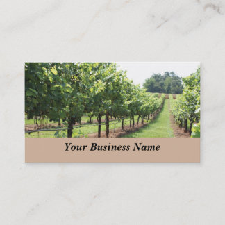 Carte De Visite Établissement vinicole et vignoble