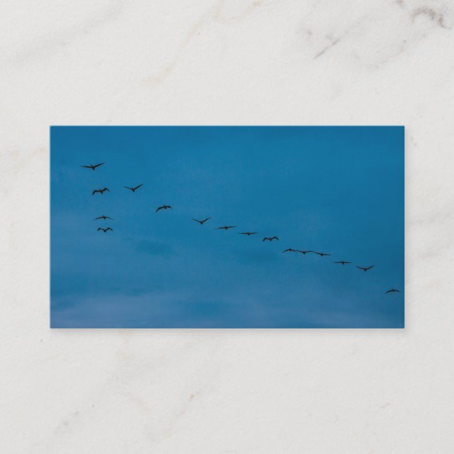Carte De Visite Été 2019 Mouettes à la recherche de nourriture (Devant)