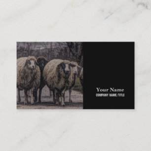 Carte De Visite Ferme de ferme de campagne rustique troupeau de mo